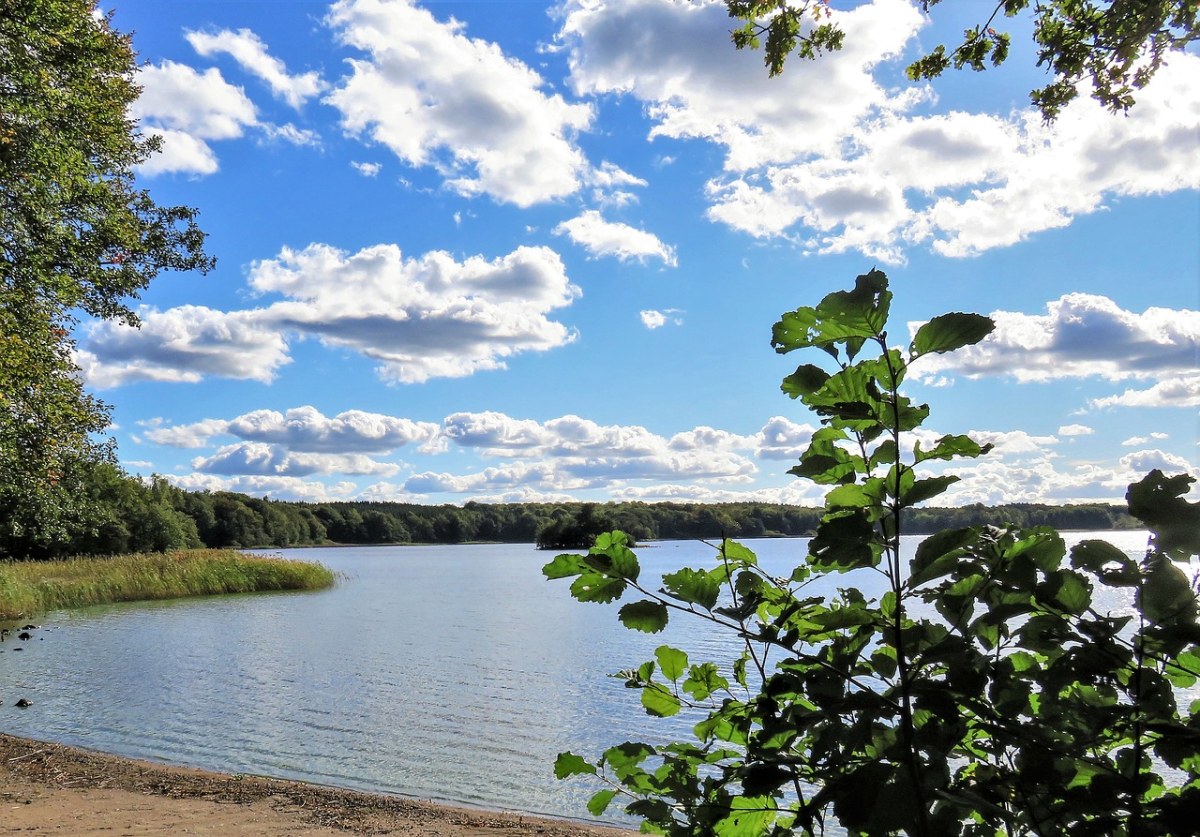 湖、景观、秋季免费图片