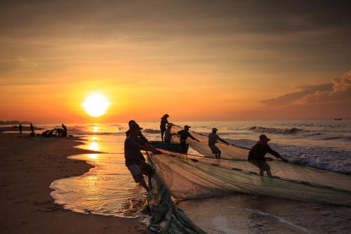 渔民、越南、鱼