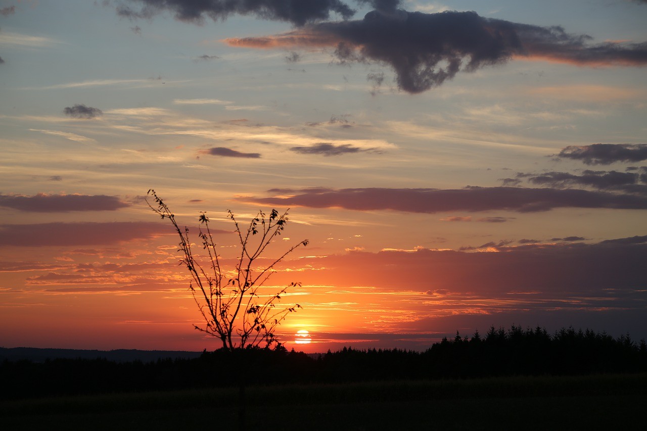 晚上,日落,太阳