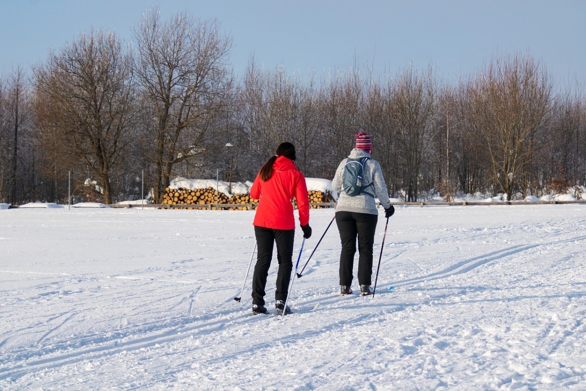冬天、体育、越野滑雪免费图片