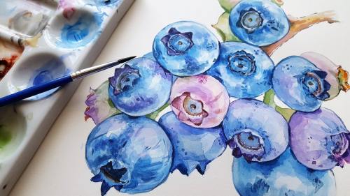 水彩画蓝莓