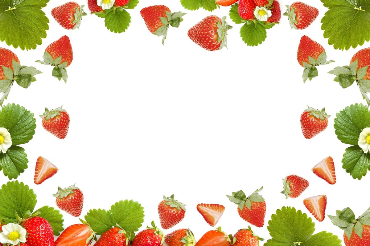 草莓背景图免费图片