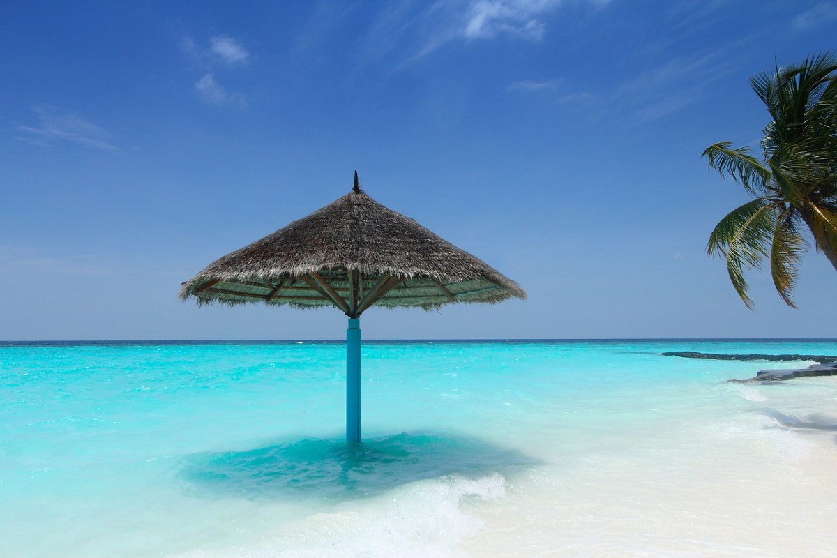 马尔代夫、棕榈树、海滩免费图片