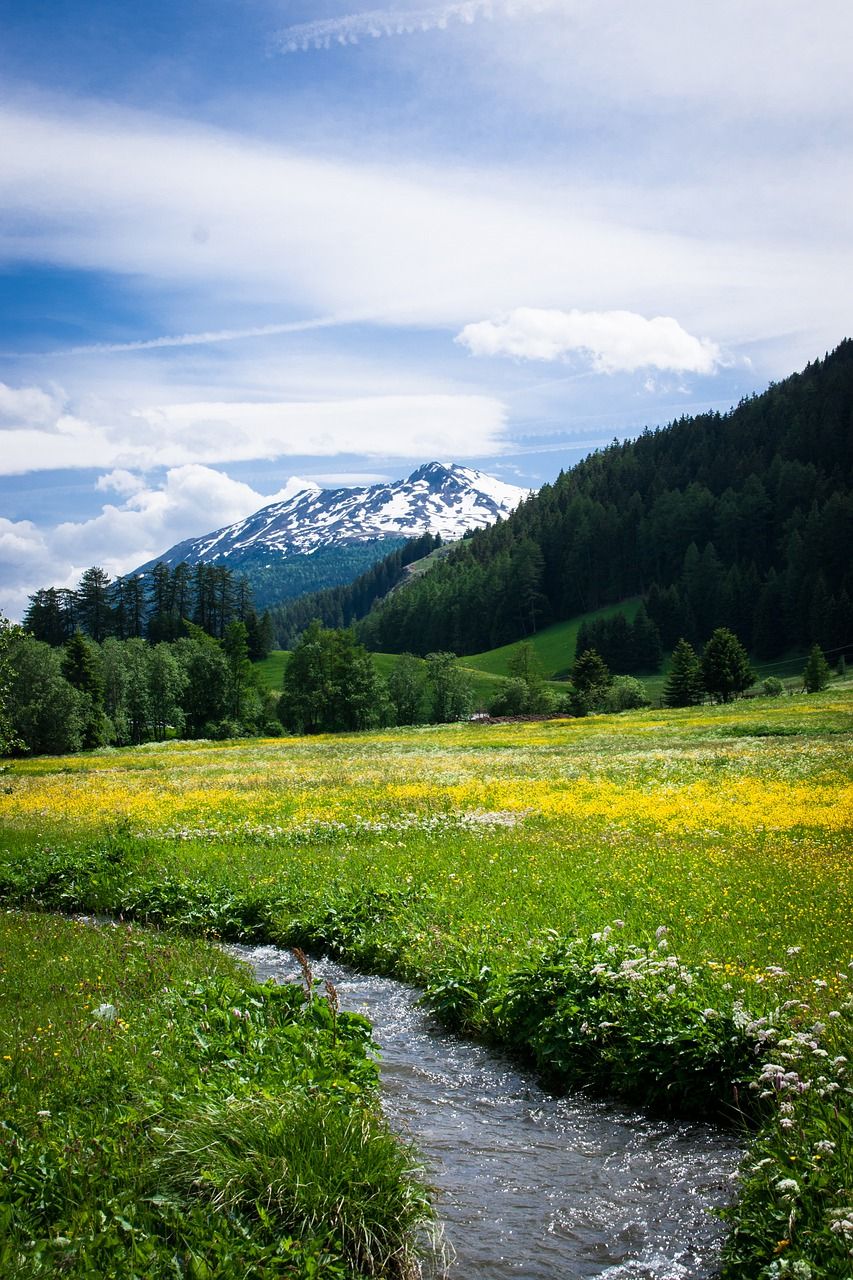 阿尔姆牧场草地