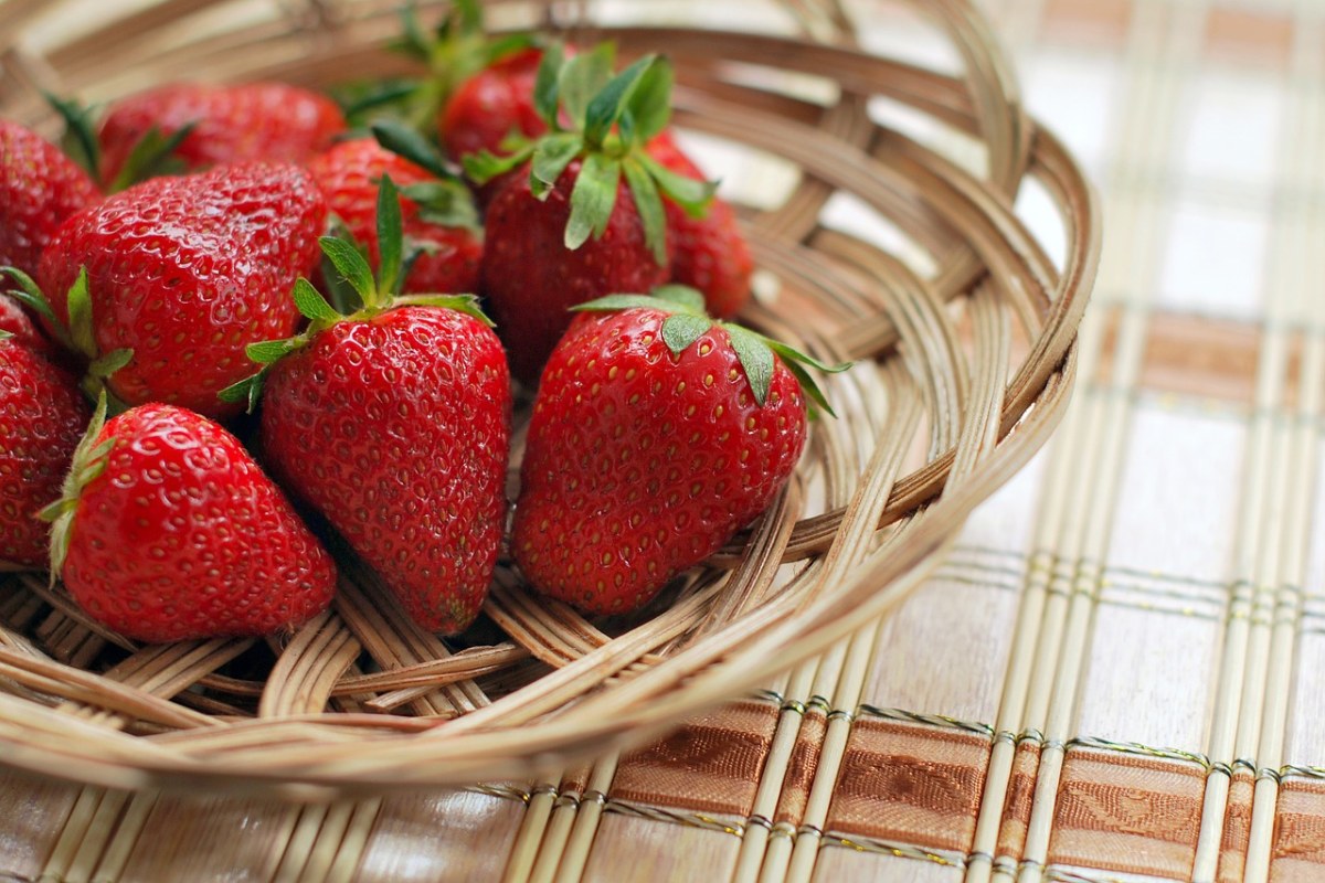 草莓、浆果、红色免费图片