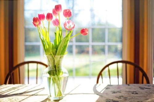 郁金香、花瓶、春