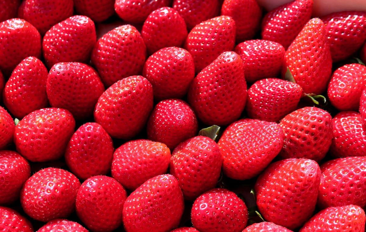 食品、水果、草莓免费图片
