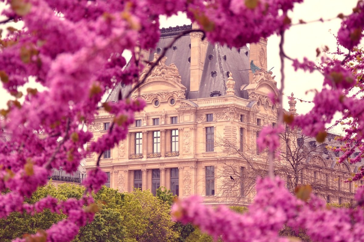欧式建筑与紫红色的花免费图片