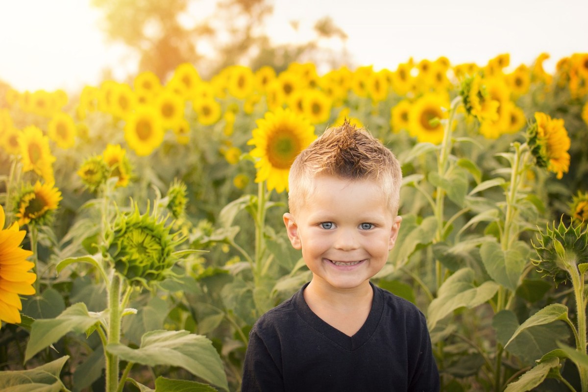 儿童、太阳、向日葵免费图片