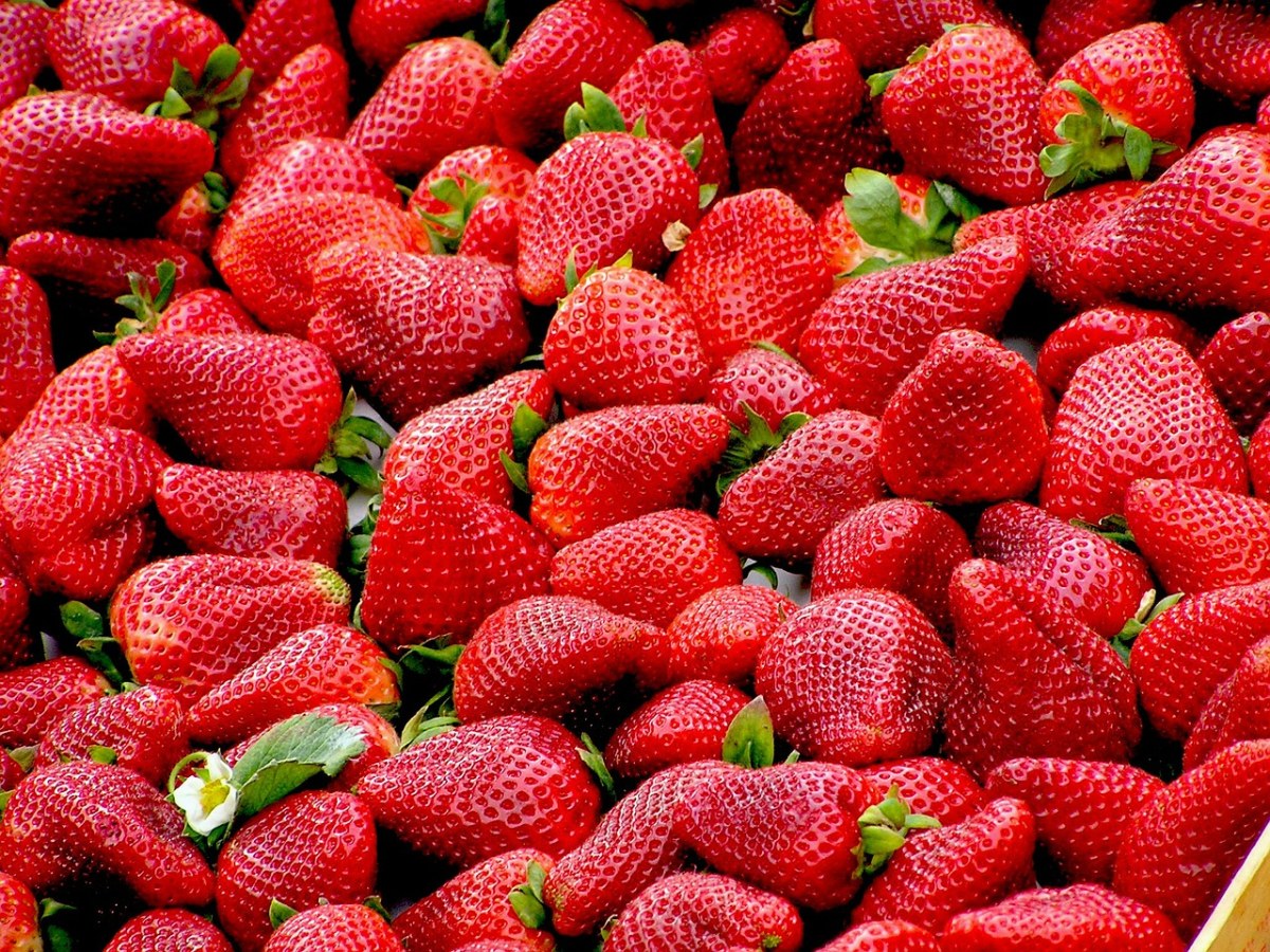 像草莓的红色水果图片