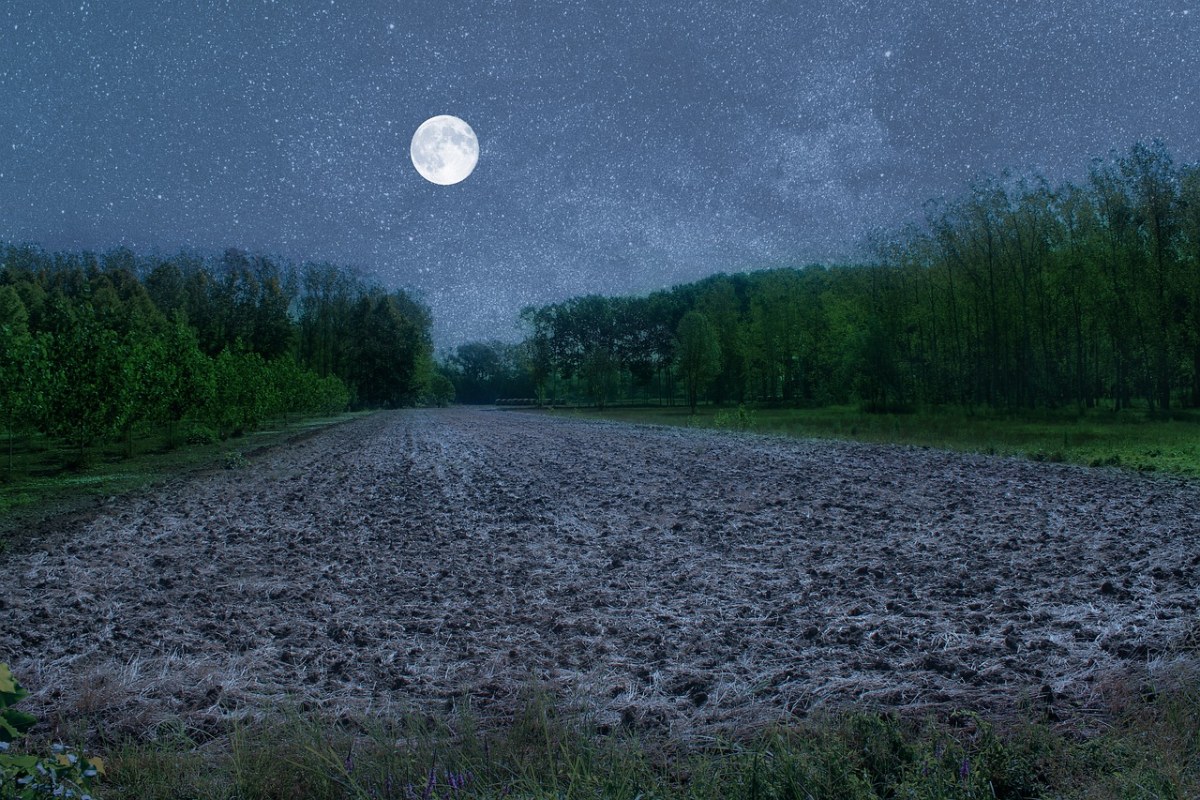 Stany、月亮、夜免费图片