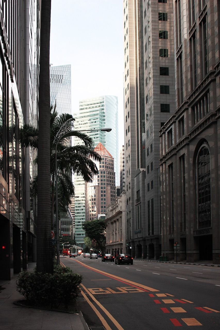 新加坡,城市,结构