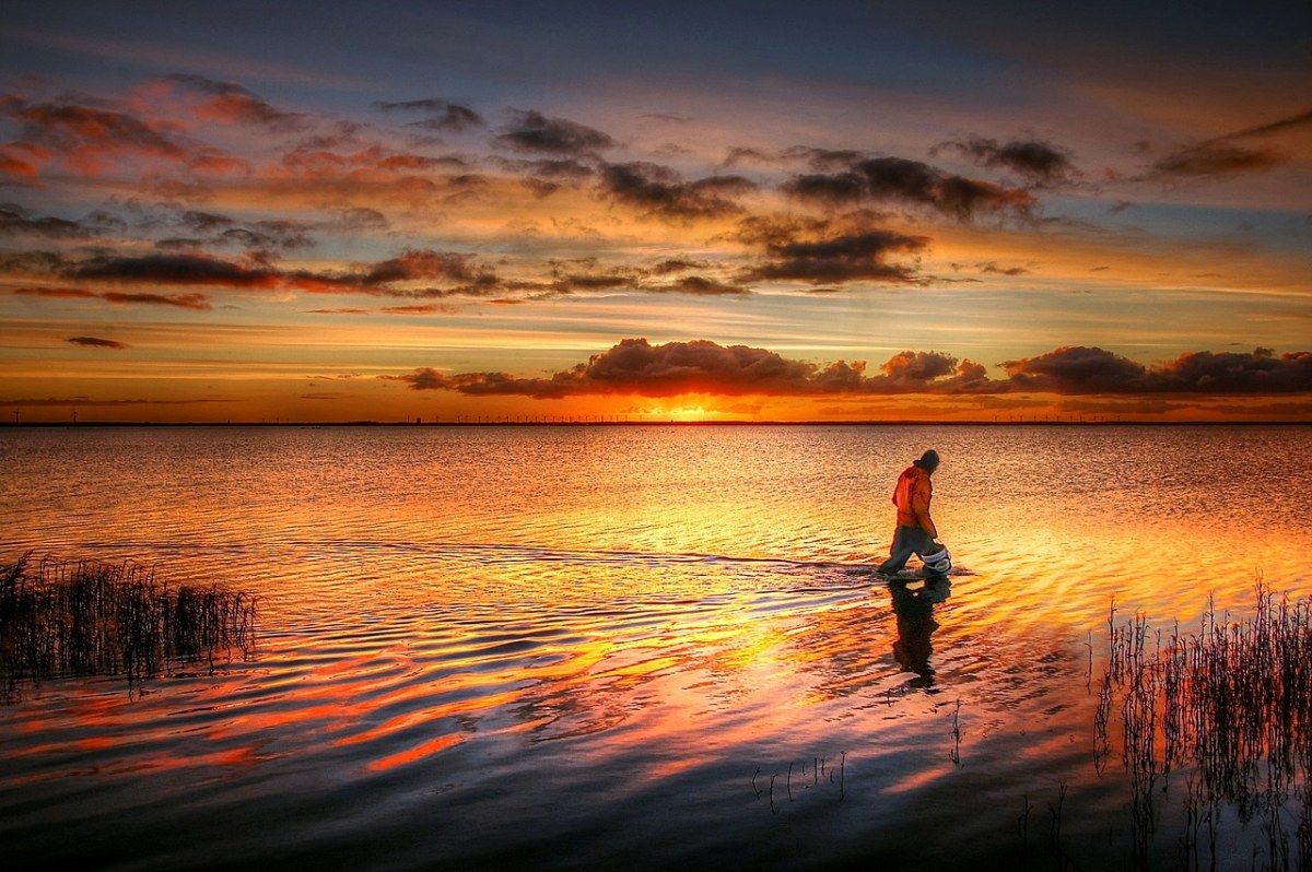 渔、日出、水免费图片