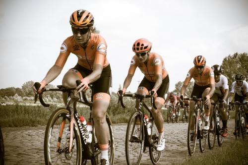 骑自行车、Wielerronde、比赛