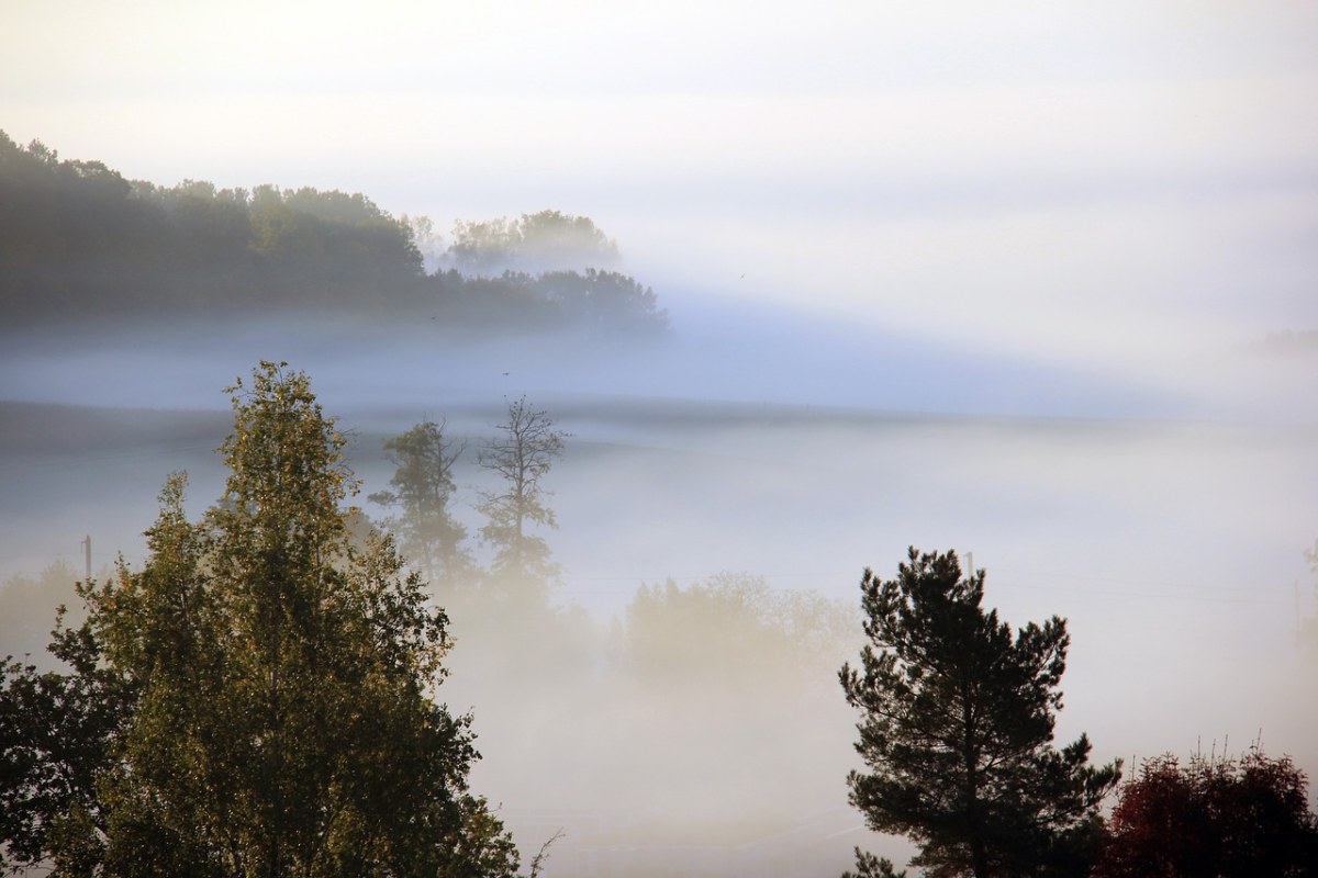 清晨的晨雾免费图片