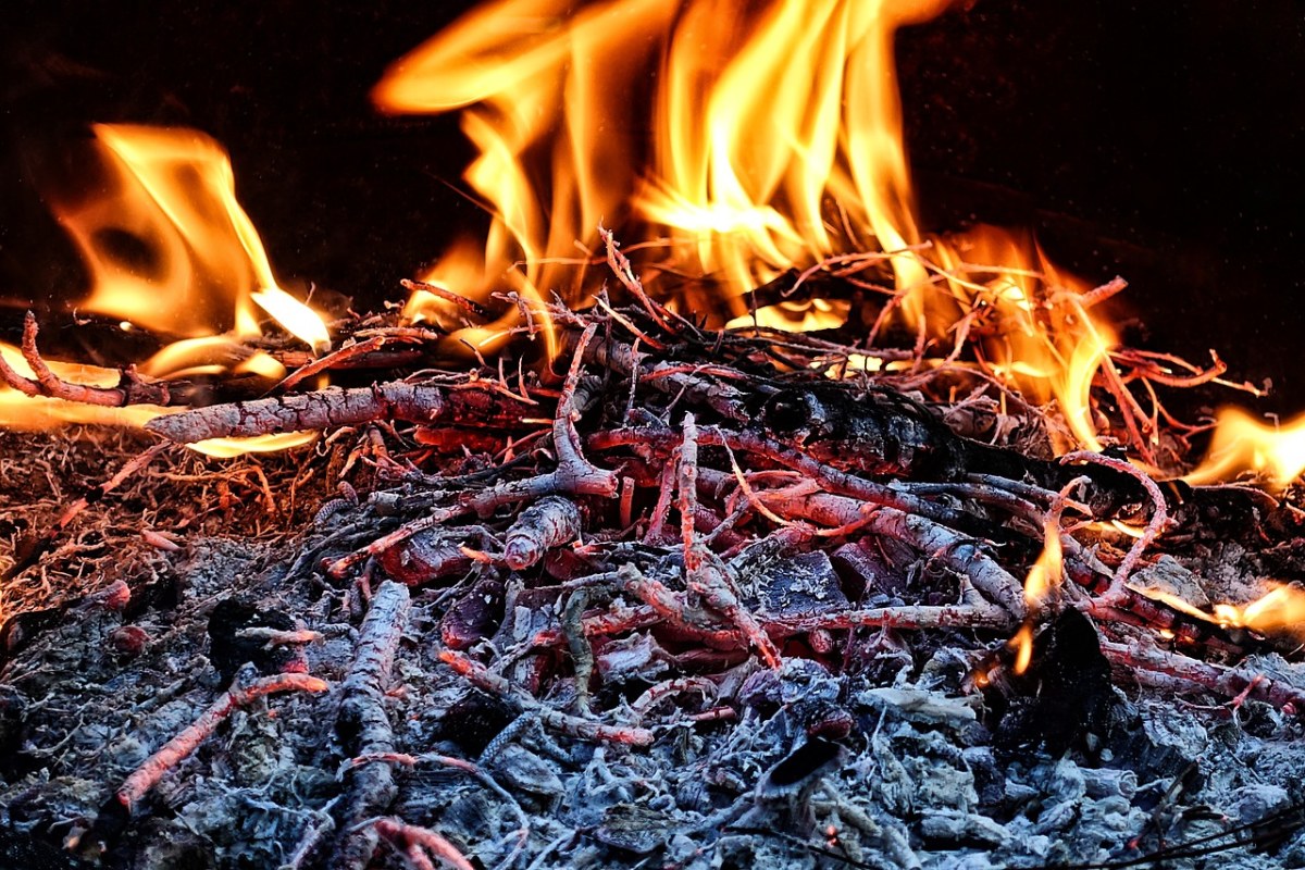 火,火焰,木