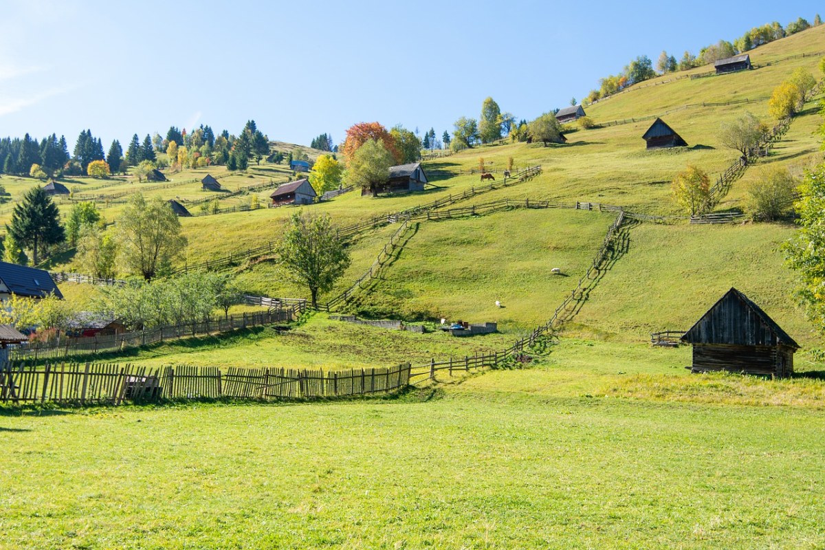 的风景、乡村、性质免费图片