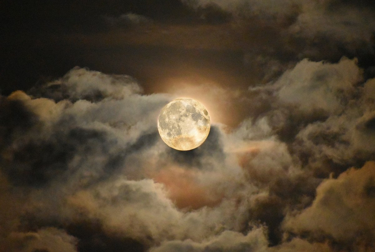 月亮、夜、望月免费图片
