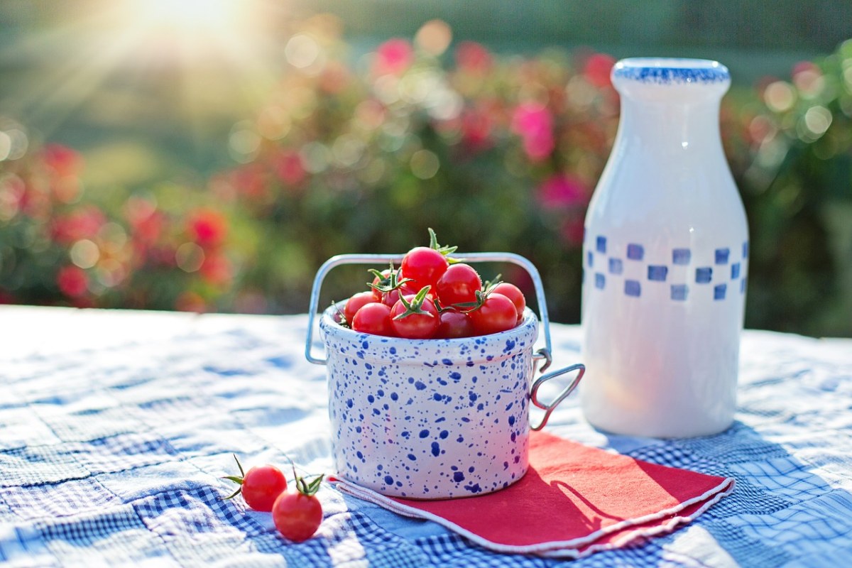 樱桃番茄、蕃茄、成熟免费图片