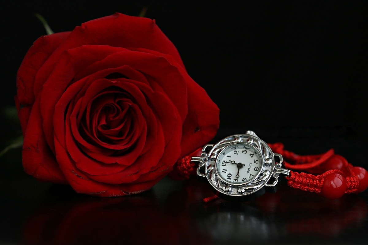 手表、玫瑰、手镯免费图片