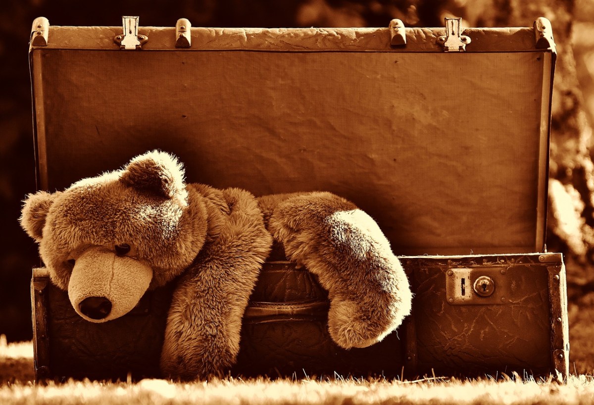 行李、古董、泰迪熊免费图片