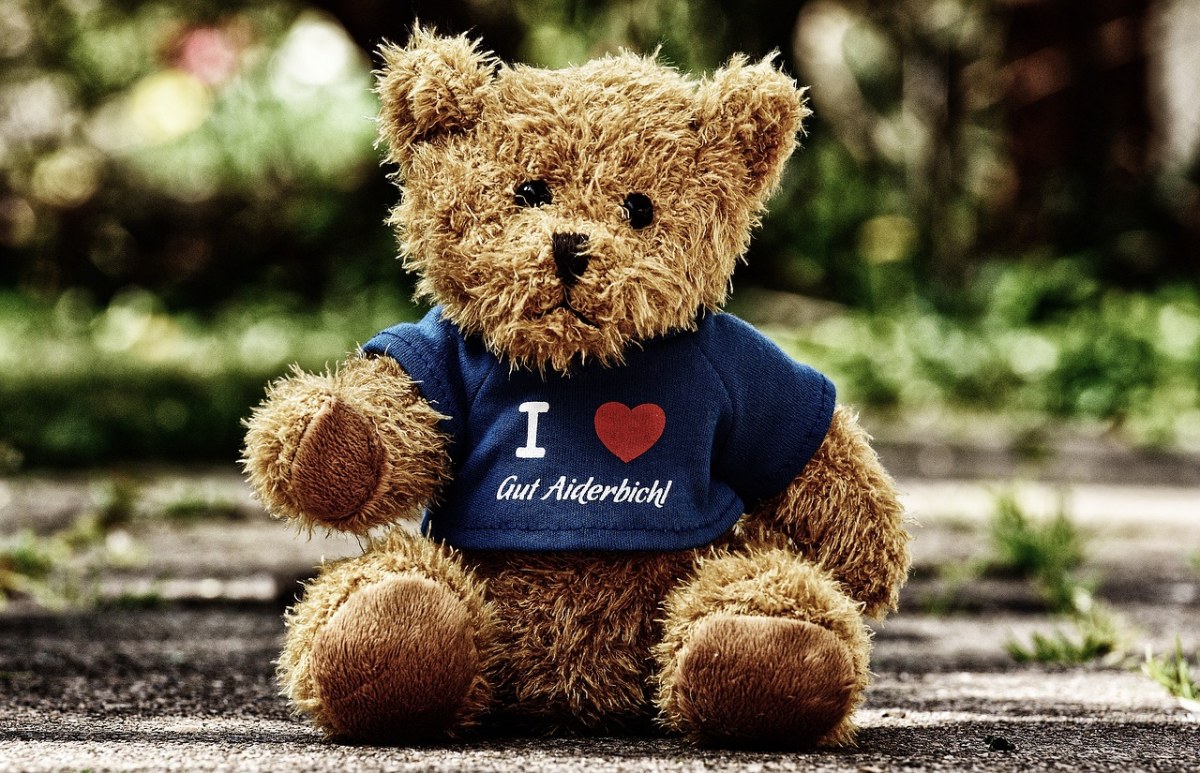 泰迪熊、玩具熊免费图片