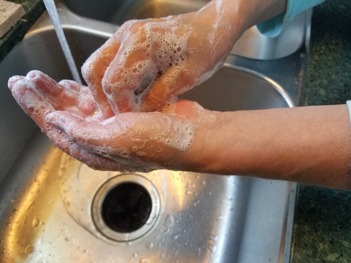 勤洗手讲卫生免费图片
